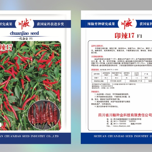 富顺县印辣17 辣椒种子