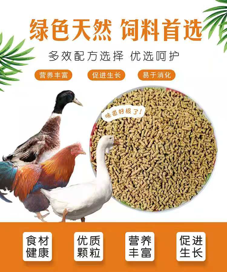 鸡鸭饲料  君辉国际一一君辉家禽乐一一鸡鸭鹅饲料