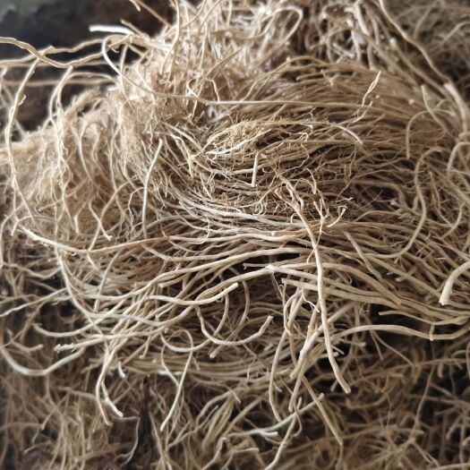 新泰市出售水洗白薇10吨纯干货，欢迎新老客户来电购货手机