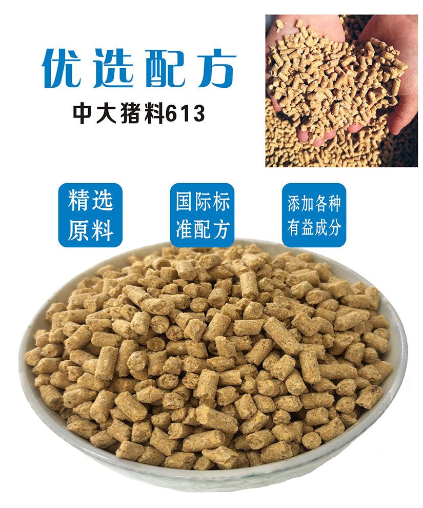 颗粒饲料  君辉国际——生物发酵中大猪料613
