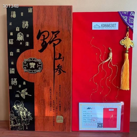 临沂林下参 