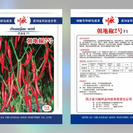 富顺县朝地椒2号 辣椒种子