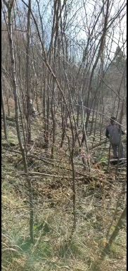本村2000亩荒地大量出租