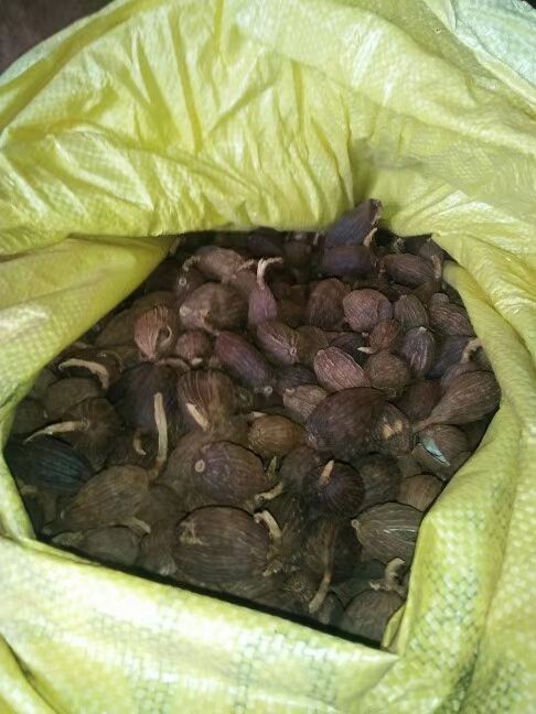 耿马县 今年的干草果