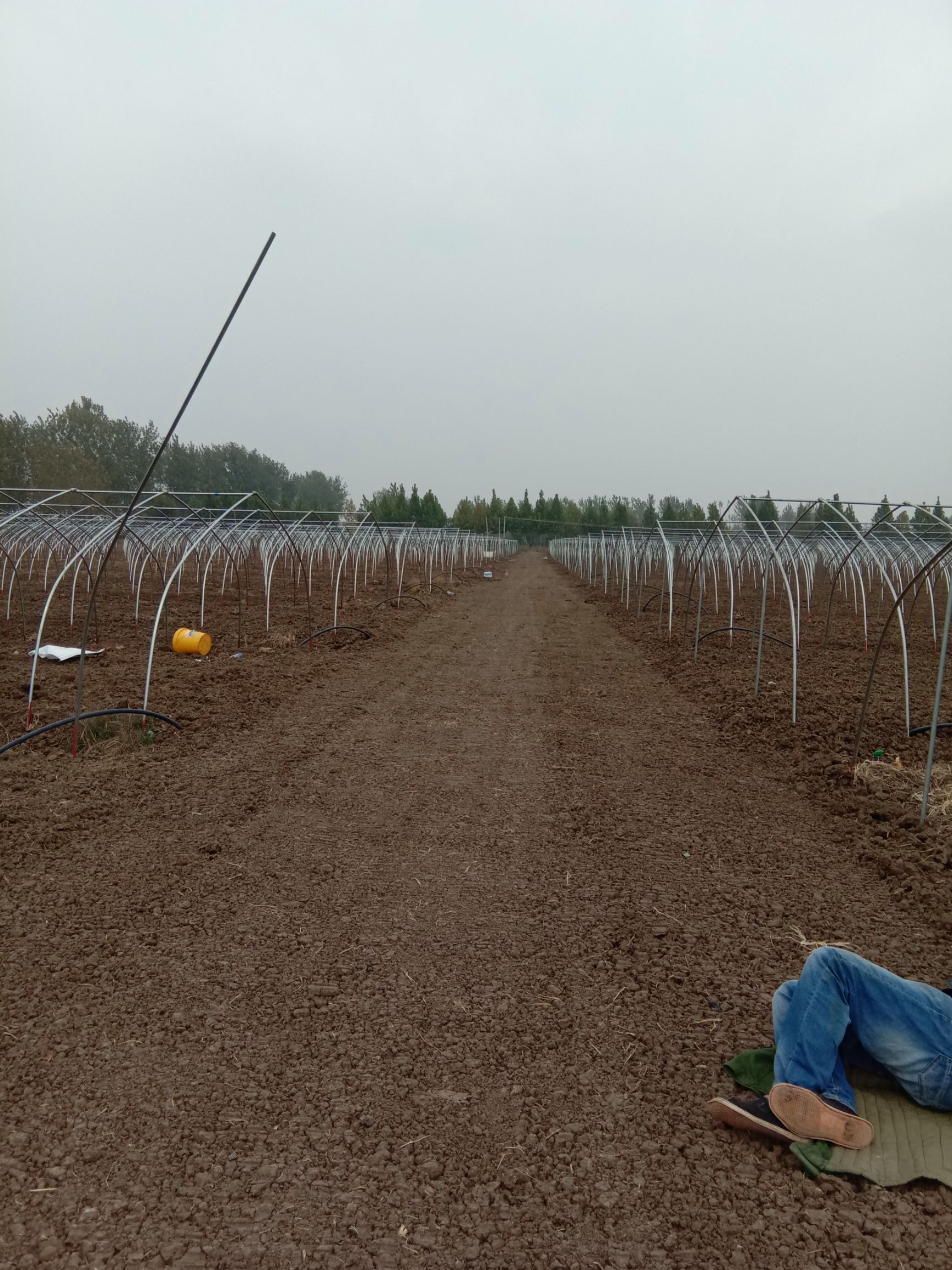 热镀锌蔬菜大棚 厂家直销大棚骨架，一等品质，防生锈，欢迎订购