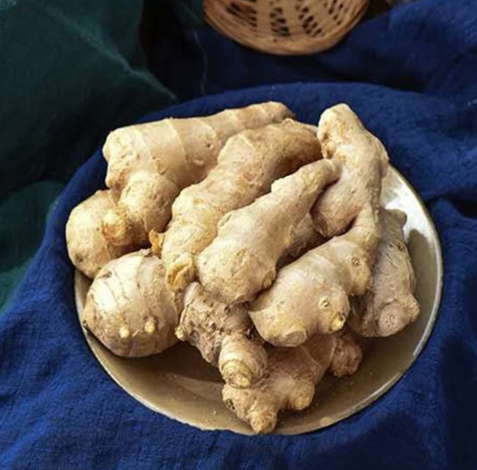 安丘优质生姜 姜母 月子姜 老姜生姜