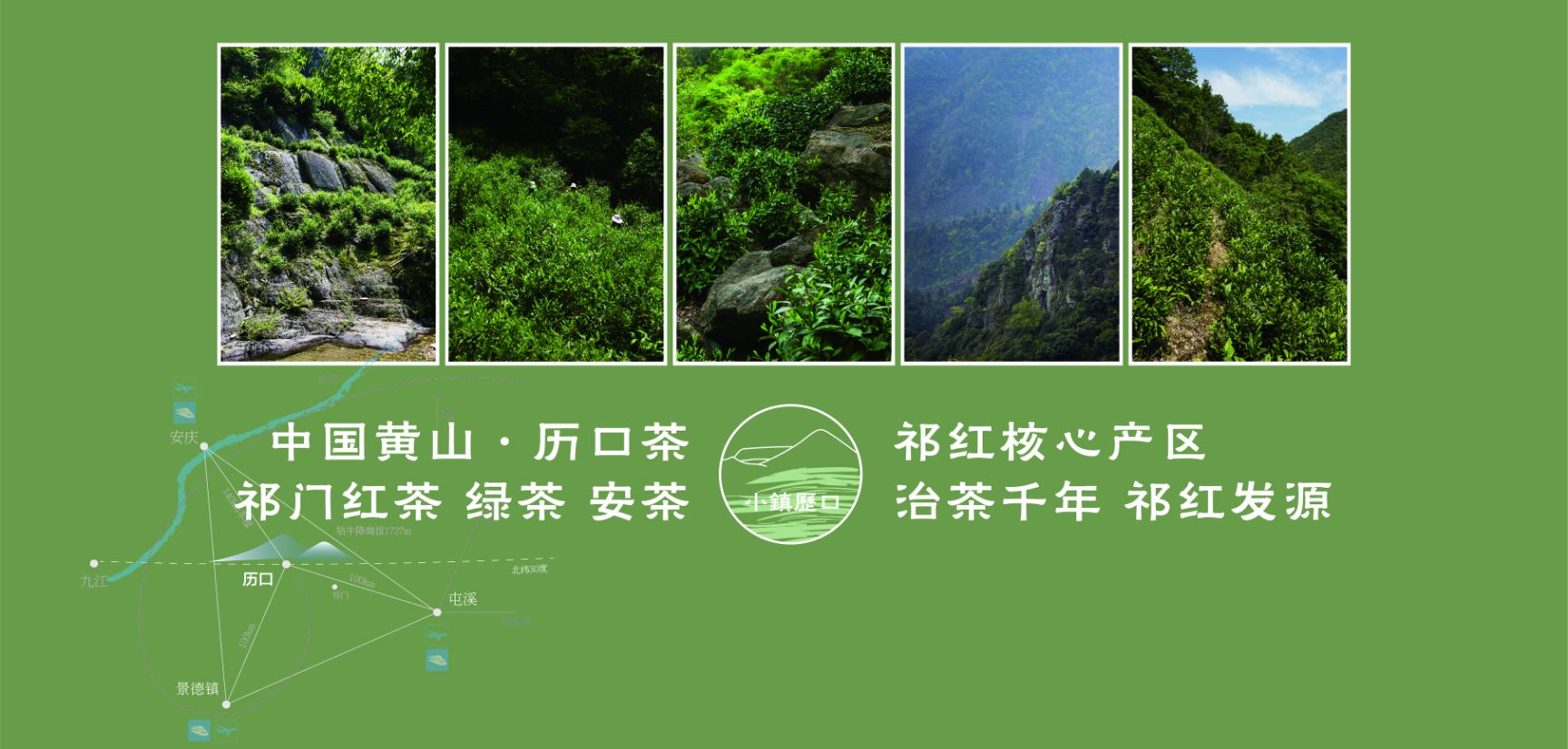 桂花茶  祁门红茶——精品桂花祁红