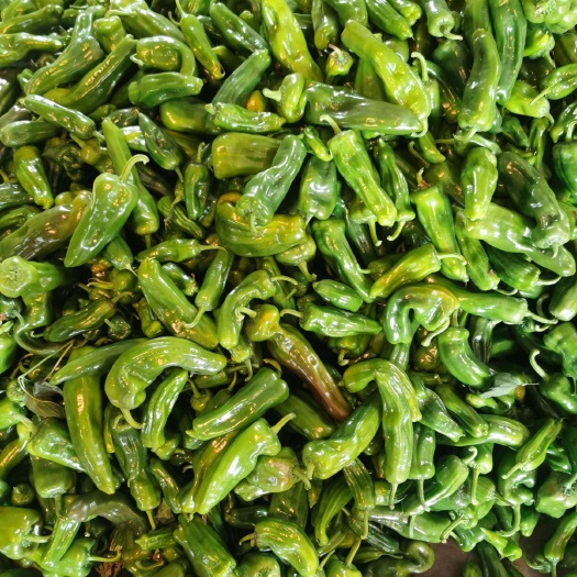 芜湖芜湖椒 青椒  花椒  红泡椒