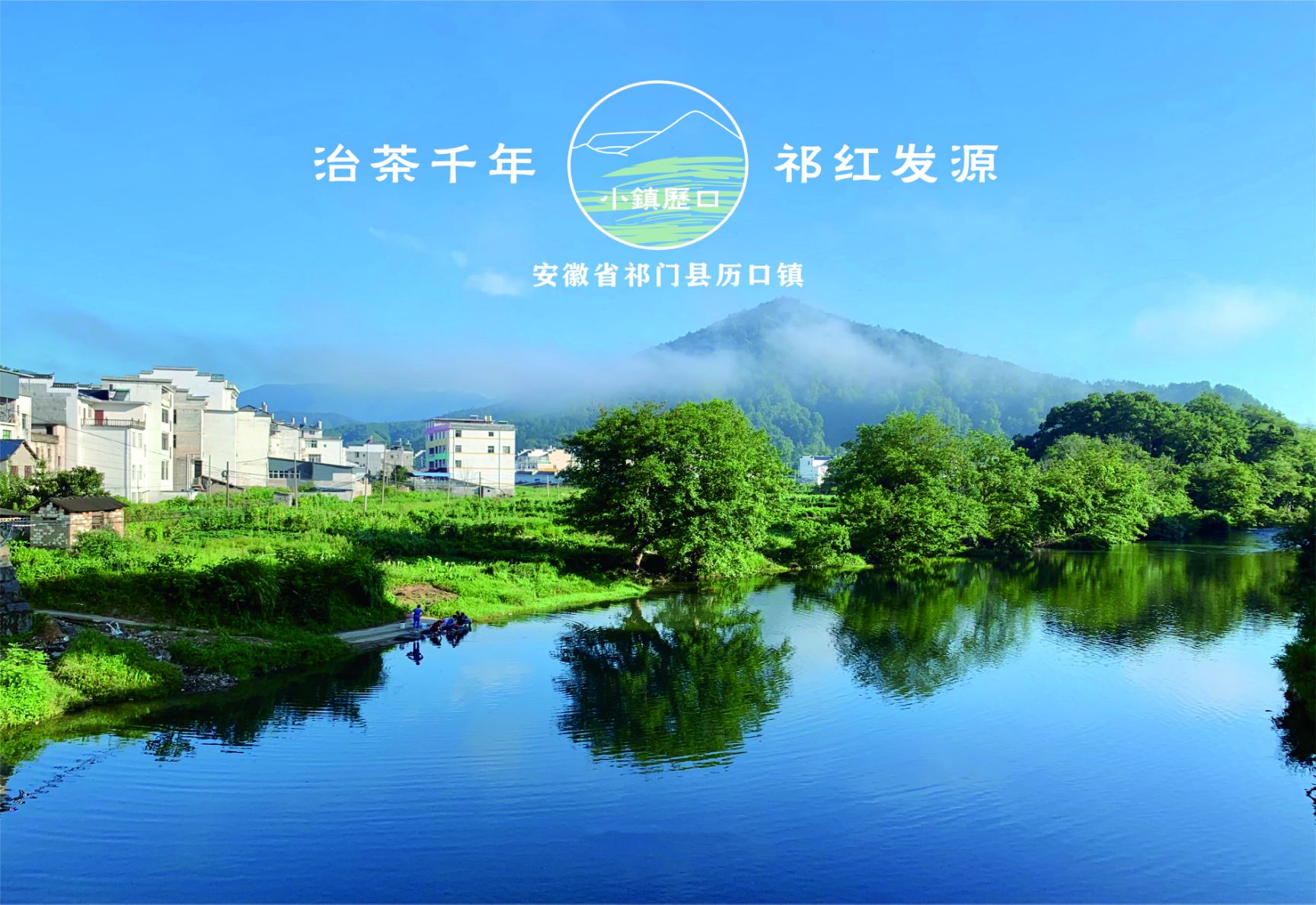 桂花茶  祁门红茶——精品桂花祁红