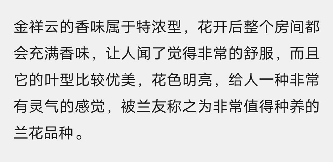 蕙兰 兰花惠兰老种浓香型《金祥云》