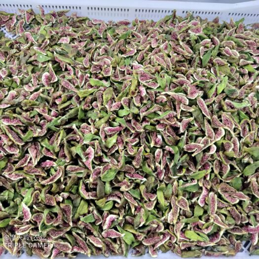 威海青皮无花果干-散装通货