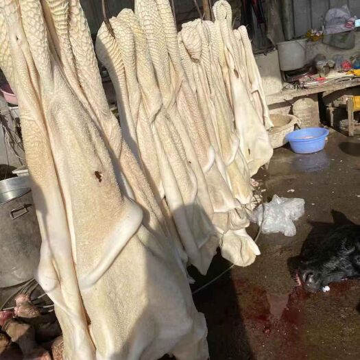 牛肚半成品