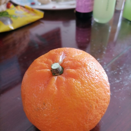 贵港澳柑 自种新鲜清甜沃柑