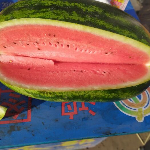 高碑店市甜王西瓜  好货