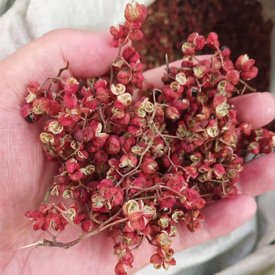 花椒粉  大红袍 红花椒枝  自产自销  多种规格一件代发