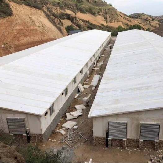 献县 全国专业建保温养殖大棚