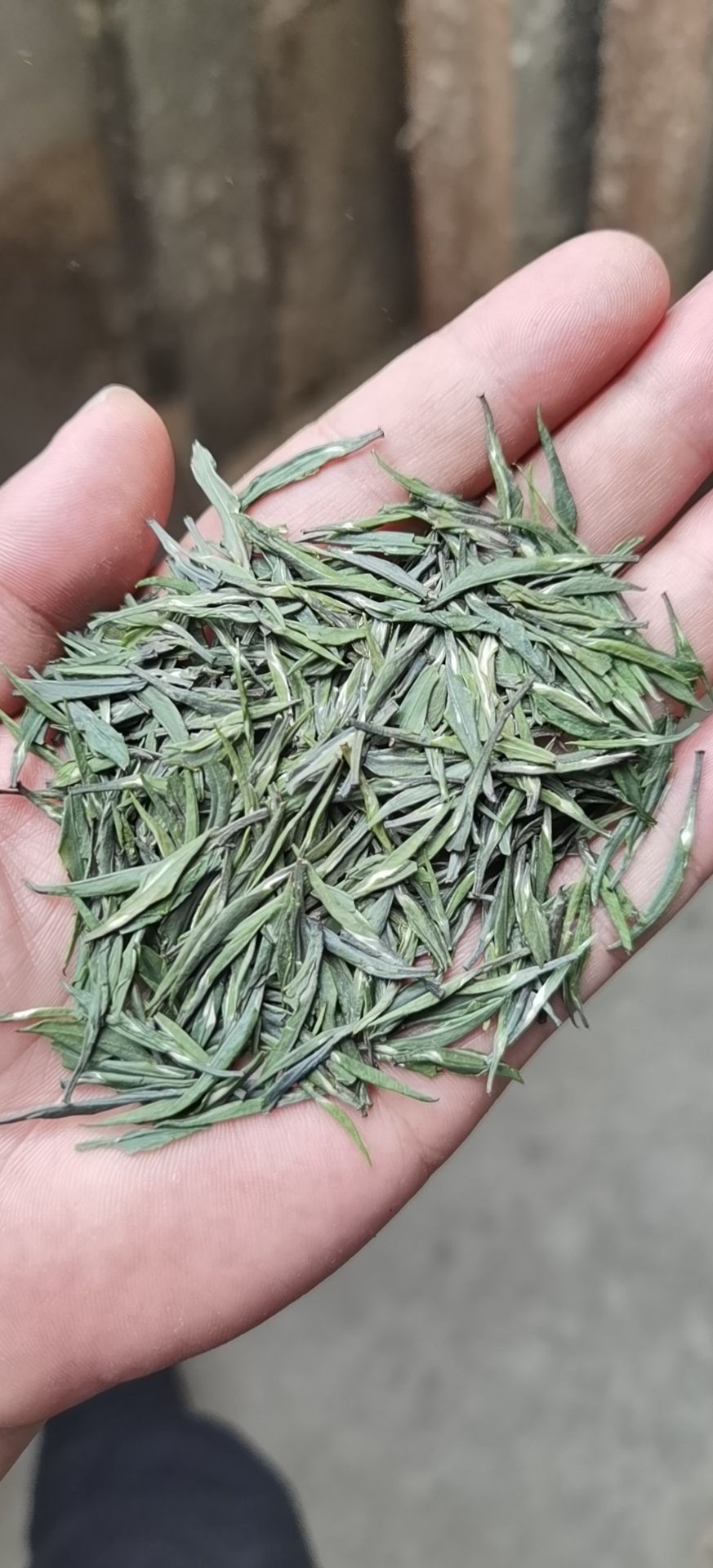 产地 四川省雅安市名山区 保质期 1年以下 品种名 竹叶青茶 颜色绿