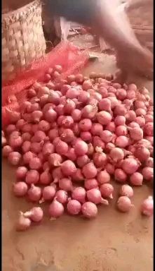 黄皮洋葱 缅甸洋葱大量上市，价格实惠，诚信经营，真诚合作，欢迎新老客户