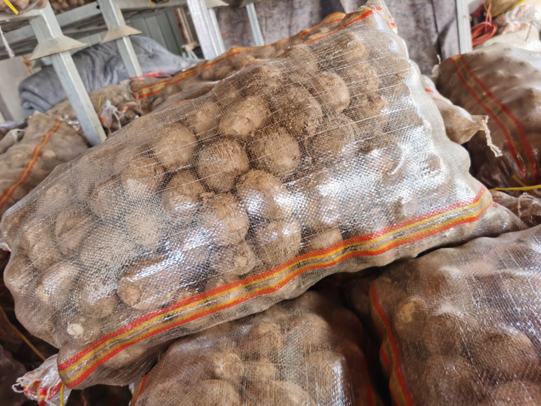  水芋头，毛芋头，加工分拣，全国购销