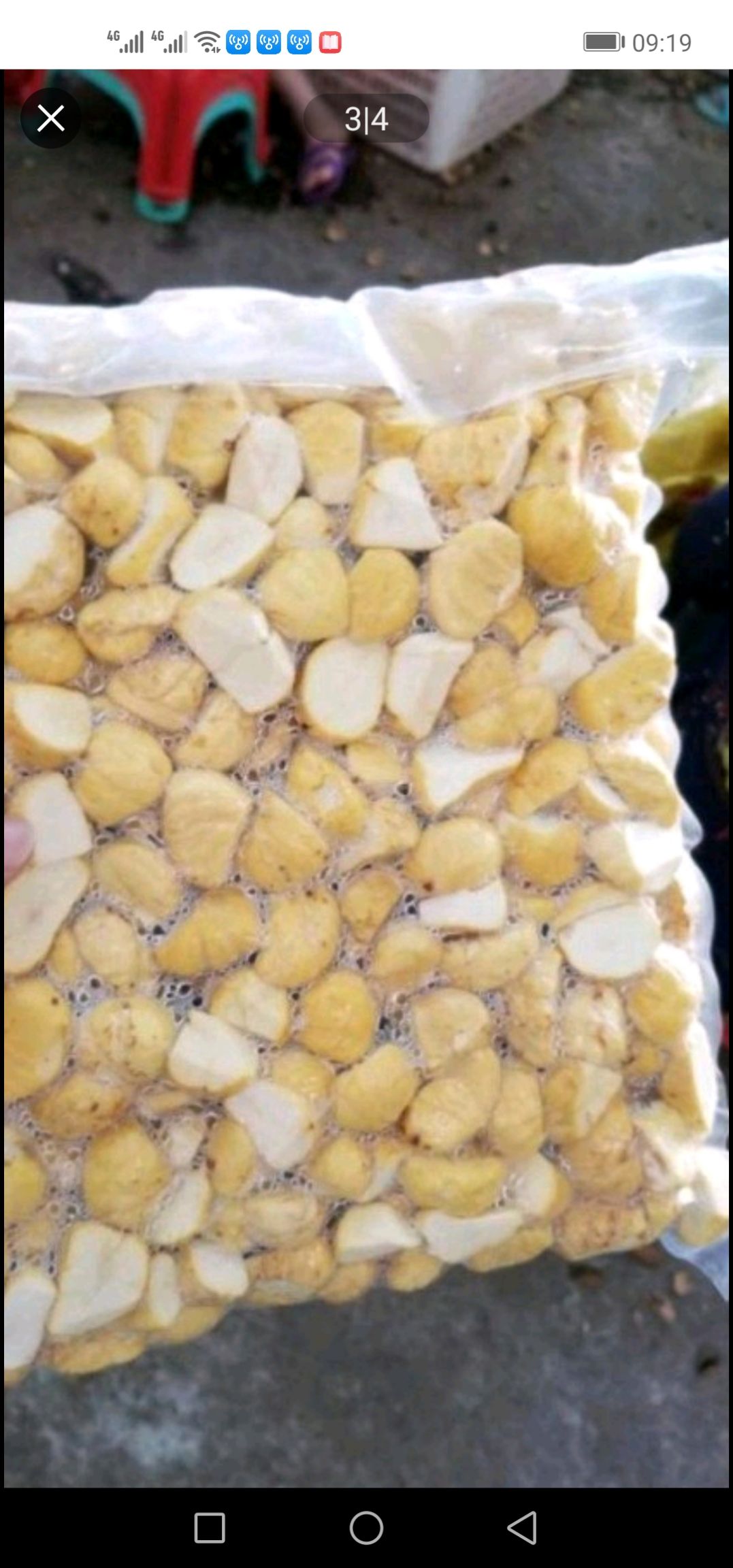 油栗  河南信阳市板栗真空包鲜板栗仁，洗破的板栗和有些削的板栗优惠卖