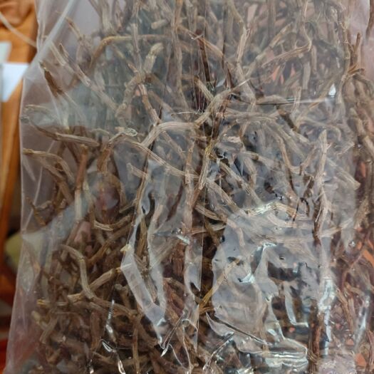 金秀县铁皮石斛 石斛