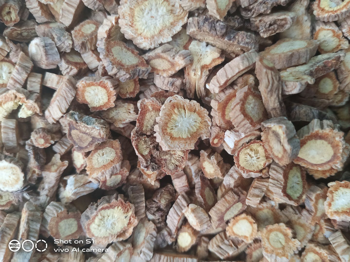  东北多年生防风，价钱都是公斤价格