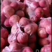 洛川县陕西洛川苹果发往贵州朋友合作愉快！