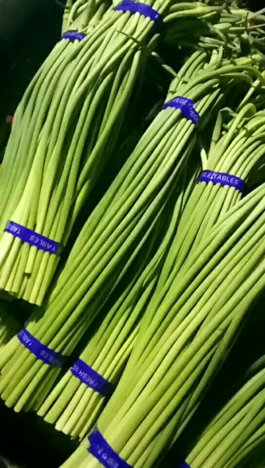 白帽蒜薹  蒜薹冷库直销热卖！土豆生姜可配车走货