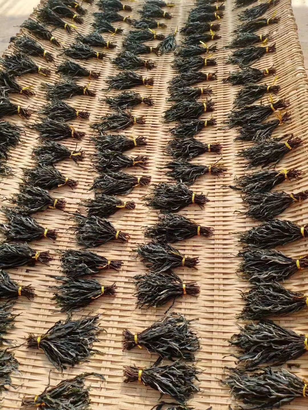 普洱生茶 高香高甜，持久耐泡