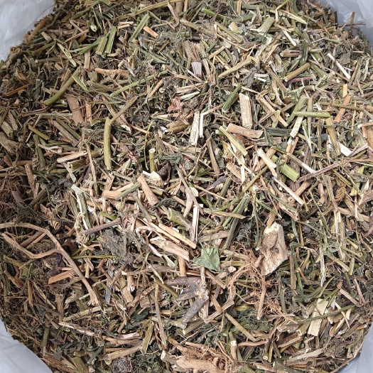 龙葵中草药龙葵草别名龙癸葡萄草黑茄天茄子草黑豆豆草药