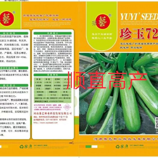 扶沟县绿皮西葫芦种子  珍玉728西葫芦种~颜色更绿毒能力强瓜