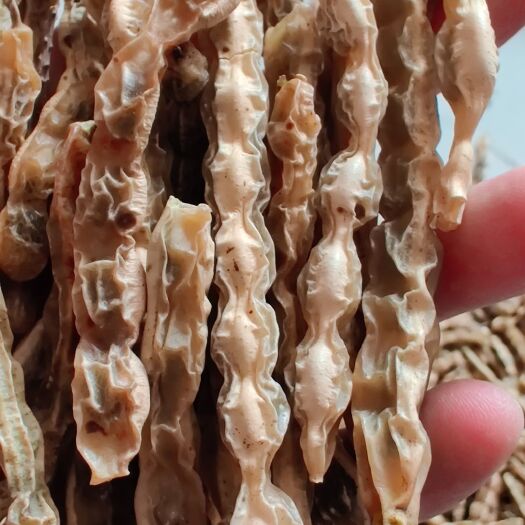 德州 槐角 槐实 槐豆 槐子 正品保证 中药材 包邮