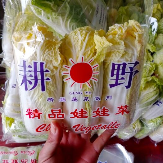宜城市大量供应优质娃娃菜，毛菜，大娃，小娃，支持各种规格包装
