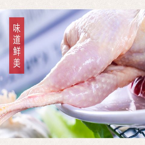 【现杀母鹌鹑】20只大鹌鹑放血去内脏 活体新鲜白条鹌鹑肉烧烤