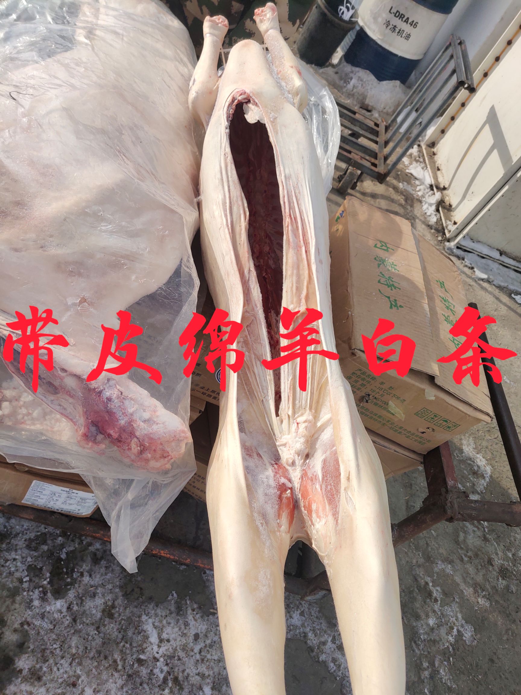 锡林浩特【带皮白条羊】绵羊的去头蹄内脏带尾的净腔！七成或七层以上膘的