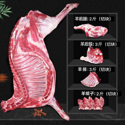 鄂托克旗羊肉类 内蒙羊肉