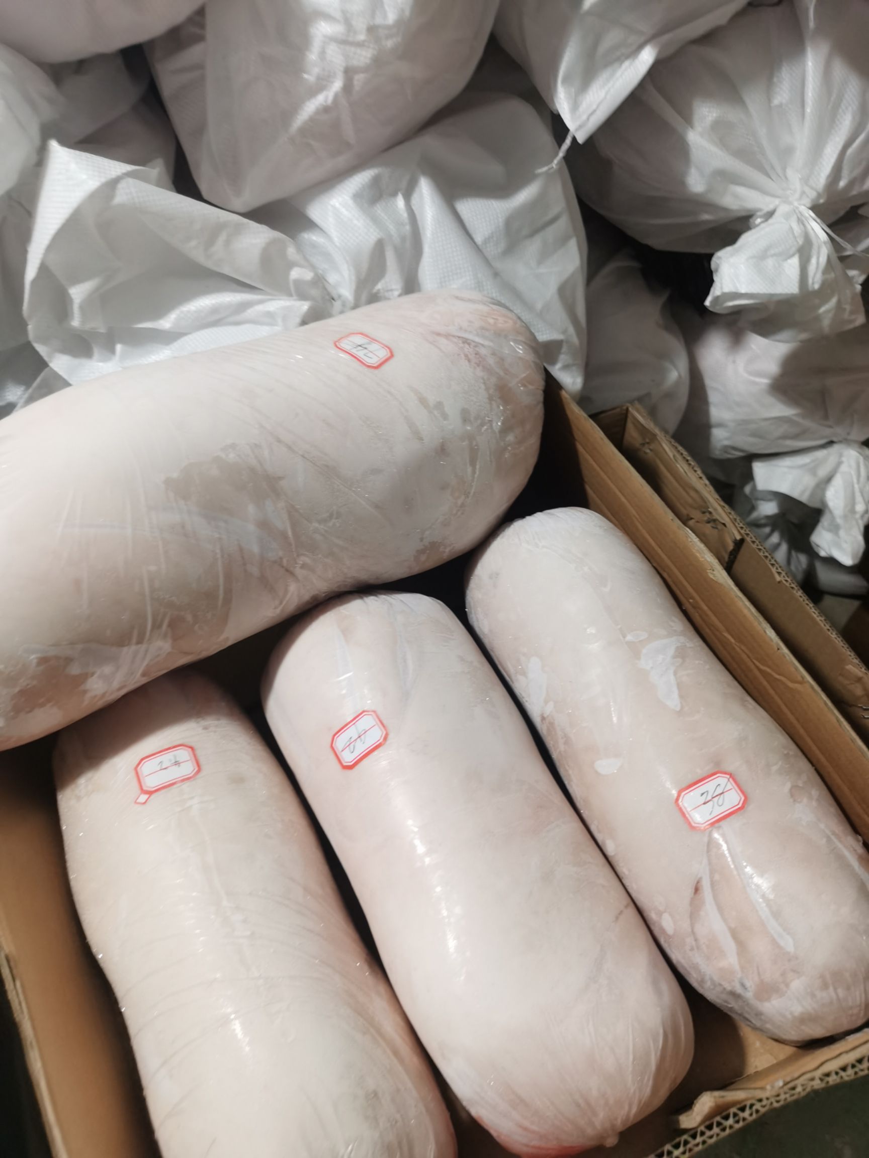 整头猪  冻乳猪，烤乳猪，鲜冻乳猪，冷乳猪