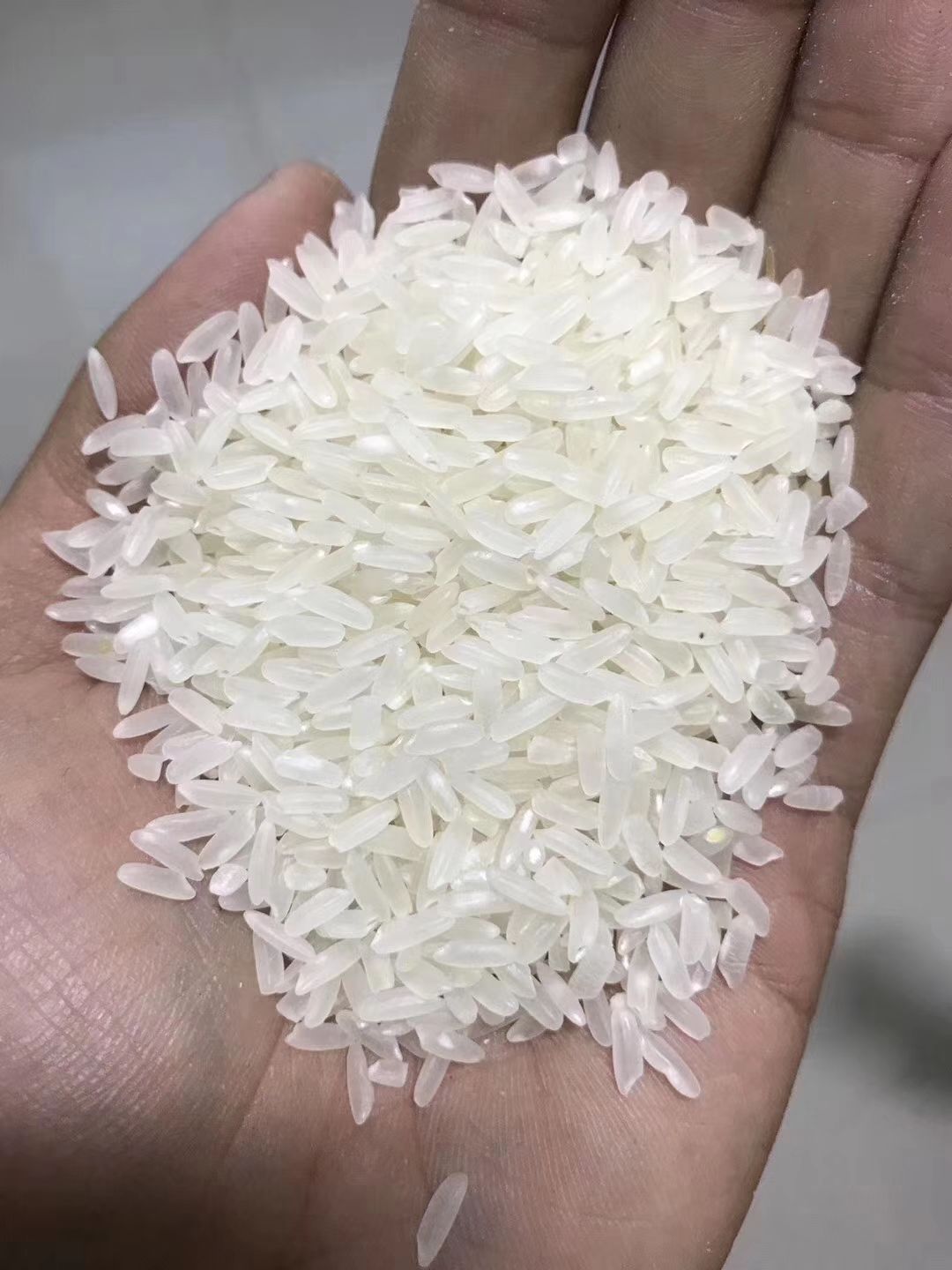 长粒香 一等品 一季稻 粳米 