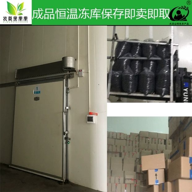 黑桑葚 大凉山德昌特产烘培无沙半野生桑椹果干