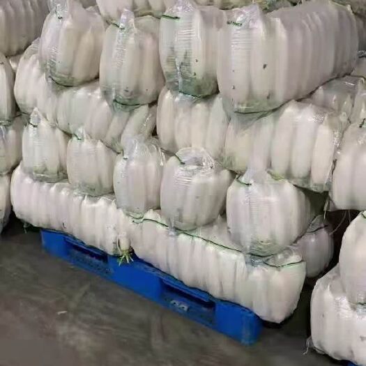 天门市白萝卜
