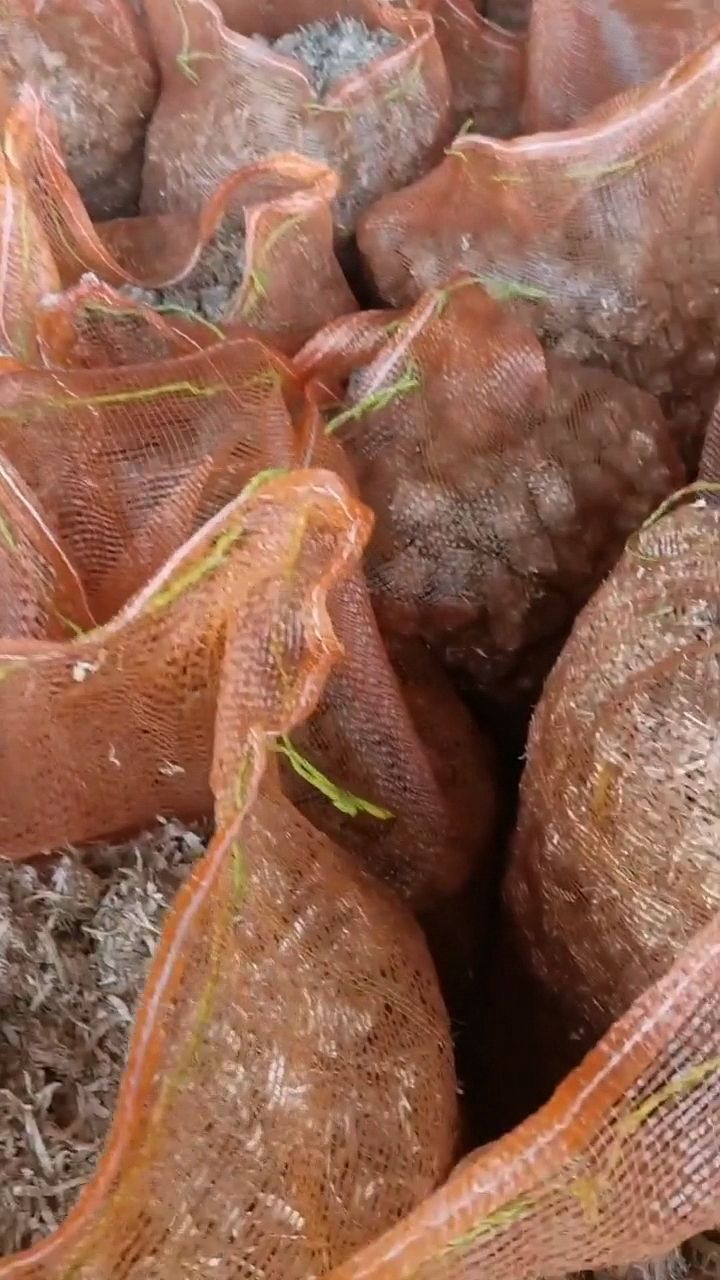 玉米饼饲料 草球 玉米秸秆 饲料