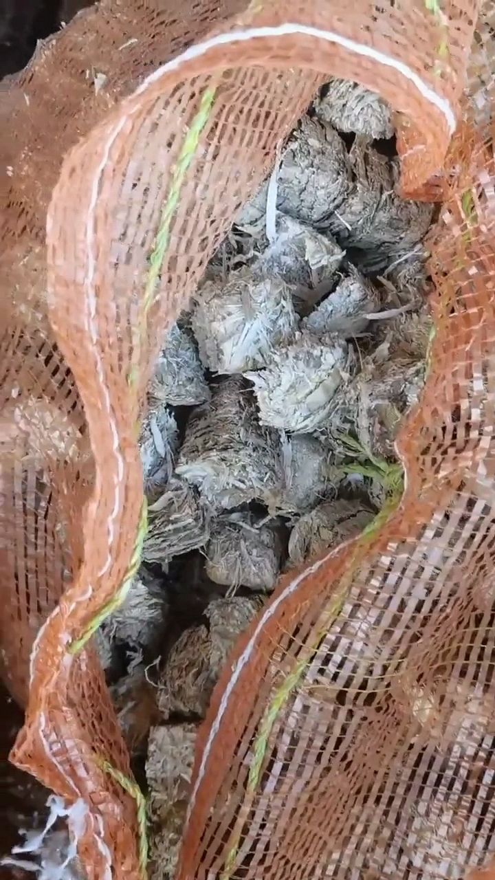 玉米饼饲料 草球 玉米秸秆 饲料