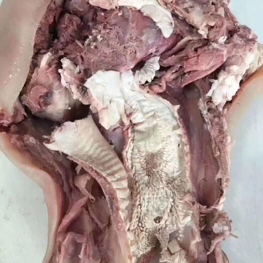 阳信县全熟牛头肉！ 全去骨加工！  清水煮！ 质量稳定！