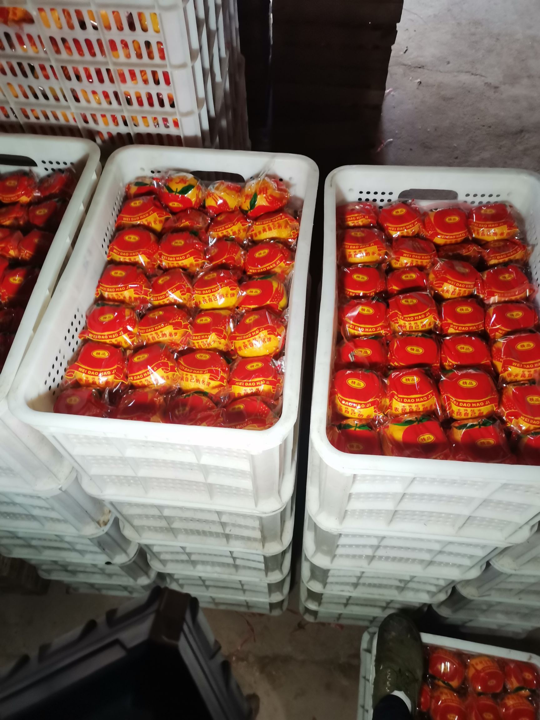 椪柑  芦柑  70以上