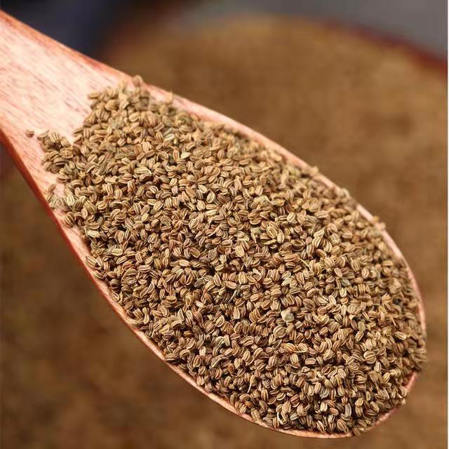 根芹种子  芹菜籽:降呀是芹菜的50倍、可以种植！也可以五谷磨粉生