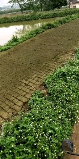三合园艺资材，销售塘泥，花泥，橘场煤渣种植土，承接园林绿化