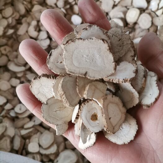 川白芷 白芷 道地四川 正品干货      2斤起包邮