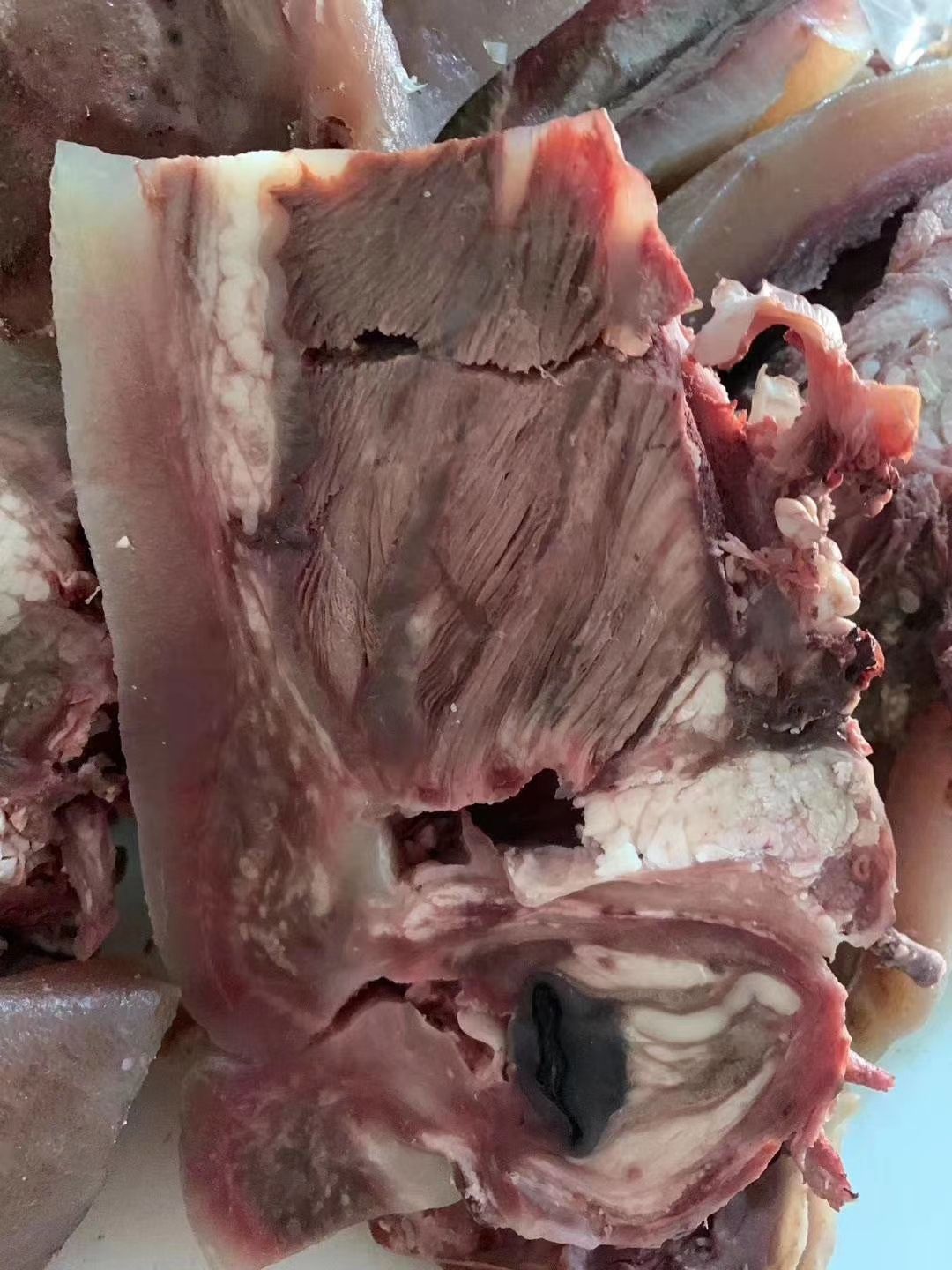 全熟牛头肉！ 全去骨加工！  清水煮！ 质量稳定！