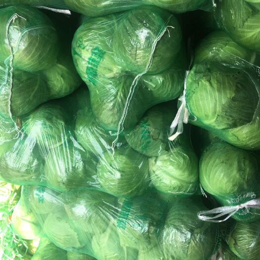 宜城市旺旺甘蓝  大量供应绿甘蓝，颜色绿，口感脆，卖相好，支持各种