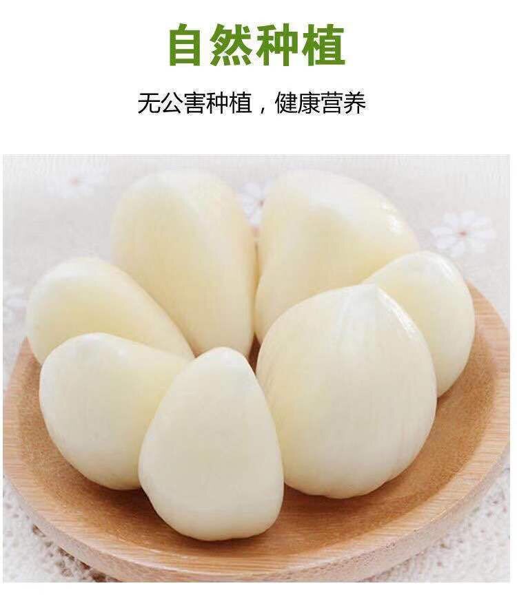 红皮蒜   干大蒜金乡大蒜蒜头 新干大蒜 优质大蒜 产地直发